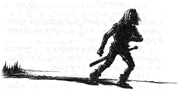 Иллюстрация к книге — Вольный рыцарь [i_157.jpg]