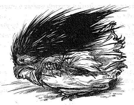 Иллюстрация к книге — Вольный рыцарь [i_168.jpg]