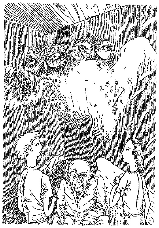 Иллюстрация к книге — Скеллиг [i_006.jpg]