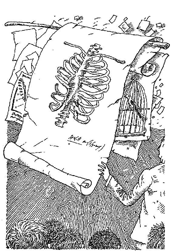 Иллюстрация к книге — Скеллиг [i_007.jpg]