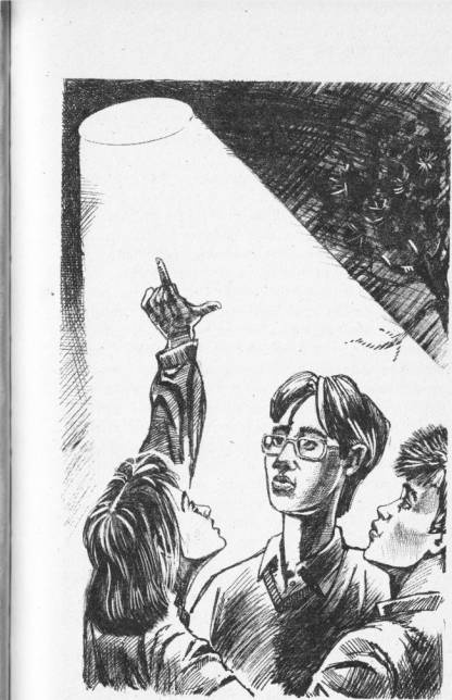 Иллюстрация к книге — Убегающий свет [i_002.jpg]