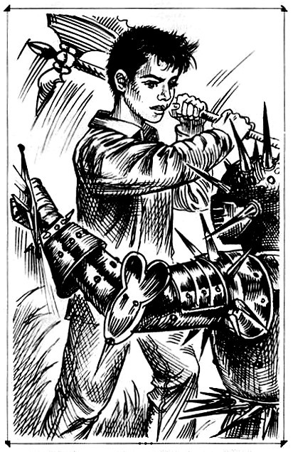 Иллюстрация к книге — Рыцари Короны [i_006.jpg]