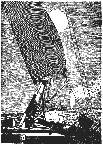 Иллюстрация к книге — Моби Дик, или Белый Кит [i_08.jpg]