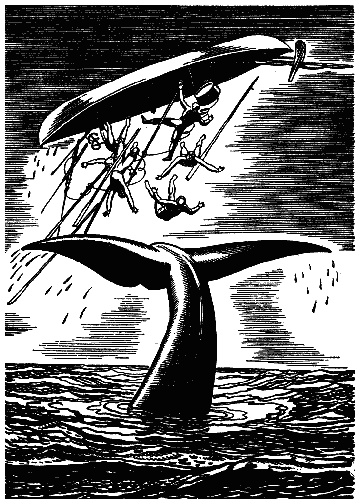 Иллюстрация к книге — Моби Дик, или Белый Кит [i_12.jpg]