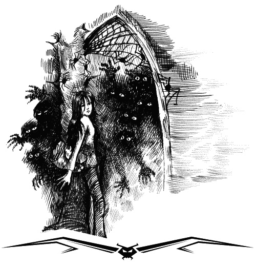 Иллюстрация к книге — Влада и заговор Тьмы [Autogen_eBook_id10.jpg]