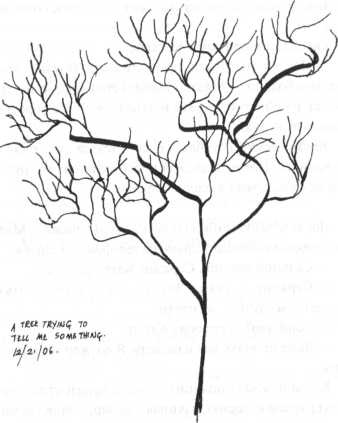 Иллюстрация к книге — Сейчас вылетит птичка! [i_010.jpg]