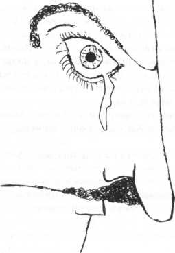 Иллюстрация к книге — Сейчас вылетит птичка! [i_014.jpg]