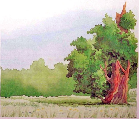 Иллюстрация к книге — Меч чародея [i_009.jpg]