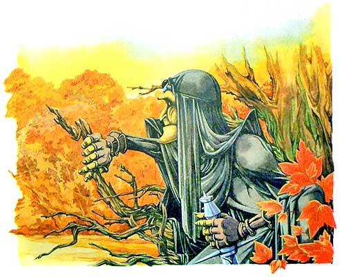 Иллюстрация к книге — Алхимик Парцелиус [i_029.jpg]