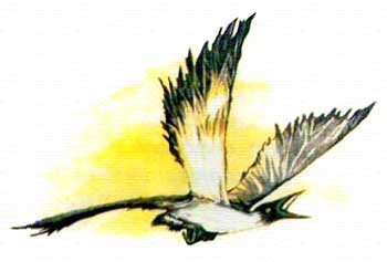 Иллюстрация к книге — Алхимик Парцелиус [i_032.jpg]