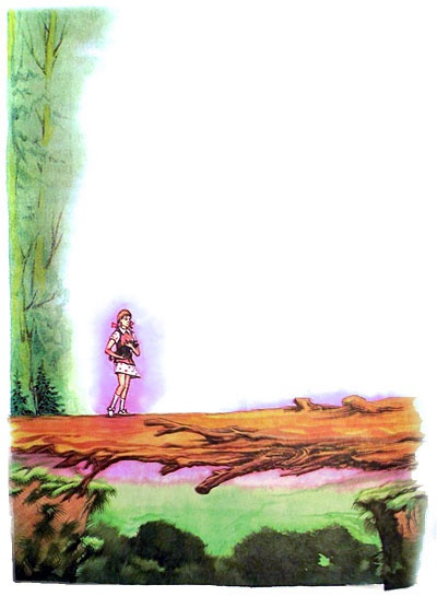 Иллюстрация к книге — Король Людушка [i_024.jpg]