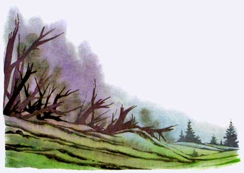 Иллюстрация к книге — Король Людушка [i_059.jpg]