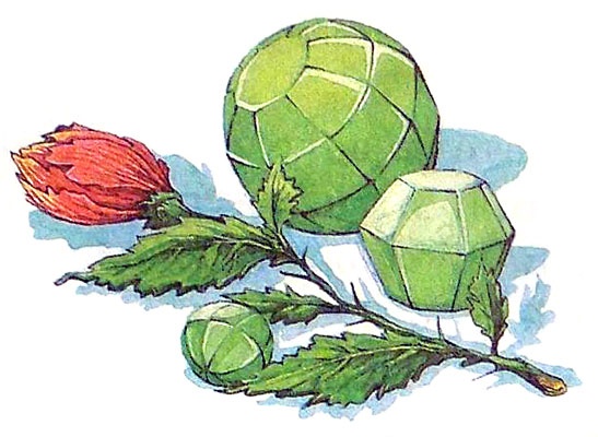 Иллюстрация к книге — Рыцари Света и Тьмы [i_059.jpg]