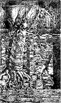 Иллюстрация к книге — Экспедиция в иномир [i_007.jpg]