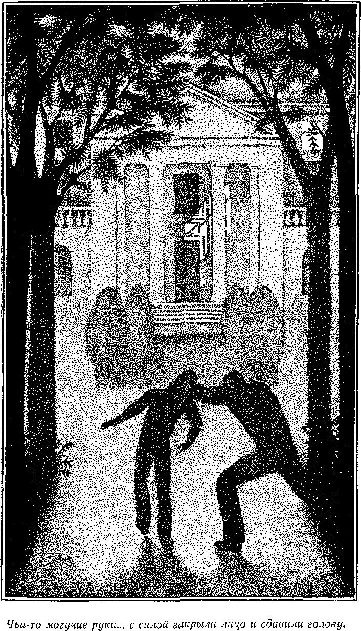 Иллюстрация к книге — Посол без верительных грамот [i_010.jpg]