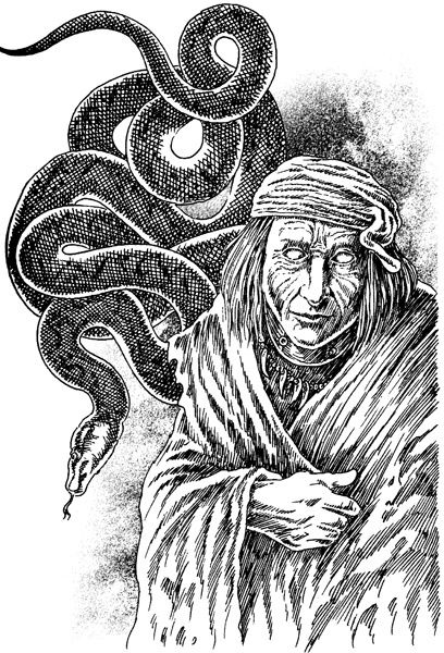 Иллюстрация к книге — Заклятие короля [_006.jpg]