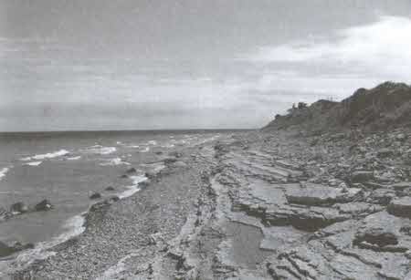 Иллюстрация к книге — Загадки золотых конвоев [i_017.jpg]