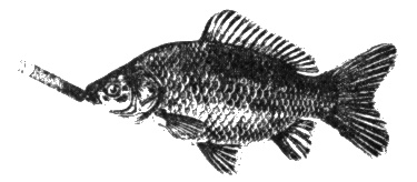 Иллюстрация к книге — Неполная, но окончательная история классической музыки [_053.jpg]