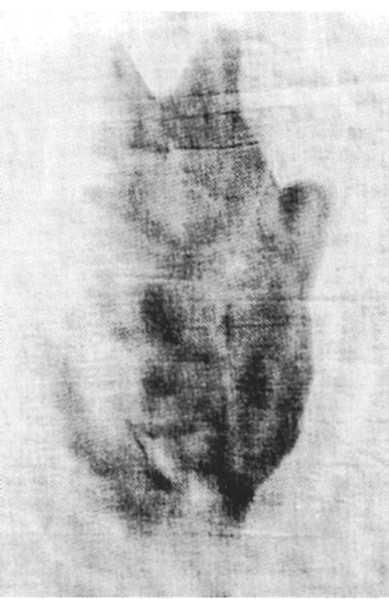 Иллюстрация к книге — Туринская плащаница [_004.jpg]