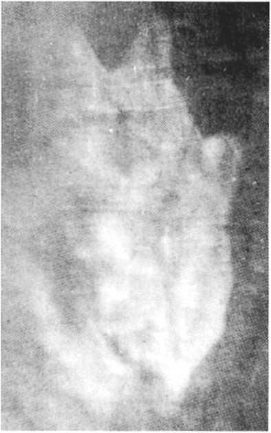 Иллюстрация к книге — Туринская плащаница [_005.jpg]