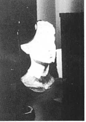 Иллюстрация к книге — Туринская плащаница [_010.jpg]