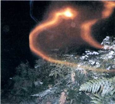 Иллюстрация к книге — Книга вампиров [i_092.jpg]