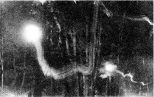 Иллюстрация к книге — Книга вампиров [i_094.jpg]