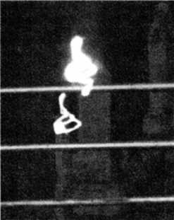 Иллюстрация к книге — Книга вампиров [i_096.jpg]