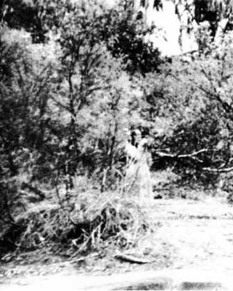 Иллюстрация к книге — Книга вампиров [i_104.jpg]