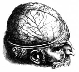 Иллюстрация к книге — Книга вампиров [i_112.jpg]