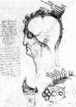 Иллюстрация к книге — Книга вампиров [i_113.jpg]