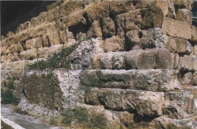 Иллюстрация к книге — Рубикон. Триумф и трагедия Римской Республики [i_010.jpg]