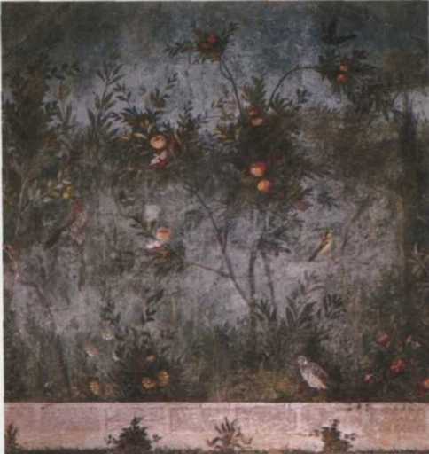 Иллюстрация к книге — Рубикон. Триумф и трагедия Римской Республики [i_020.jpg]