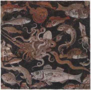 Иллюстрация к книге — Рубикон. Триумф и трагедия Римской Республики [i_021.jpg]