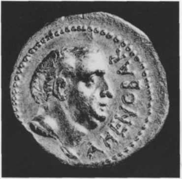 Иллюстрация к книге — Рубикон. Триумф и трагедия Римской Республики [i_029.jpg]