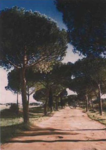 Иллюстрация к книге — Рубикон. Триумф и трагедия Римской Республики [i_031.jpg]