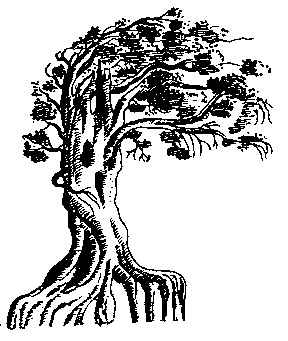 Иллюстрация к книге — Духи болота [_1111.jpg]