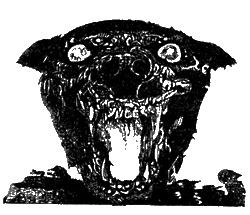 Иллюстрация к книге — Дневник кошмарных пророчеств [sc08.jpg]