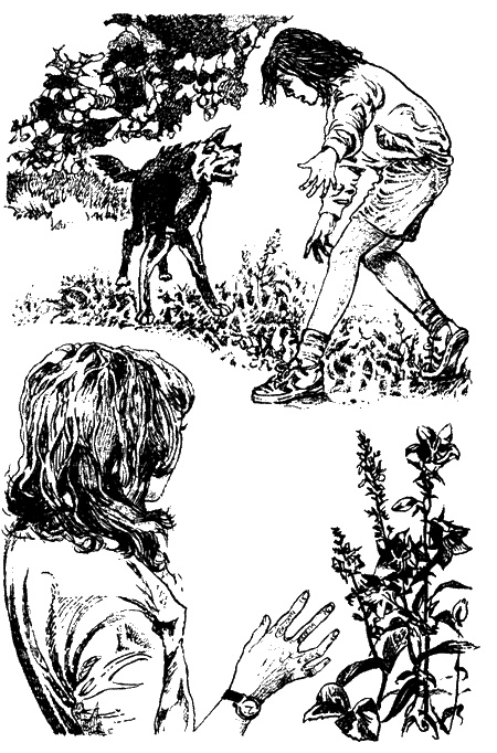 Иллюстрация к книге — Тропой лесных чудовищ [sc04.jpg]