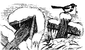 Иллюстрация к книге — Великий Некромансер [sc2.jpg]