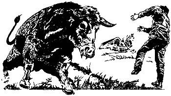 Иллюстрация к книге — Колдовская вода [sc2.jpg]