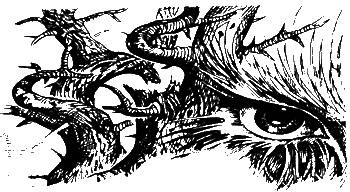 Иллюстрация к книге — Хозяин гнилого болота [sc02.jpg]