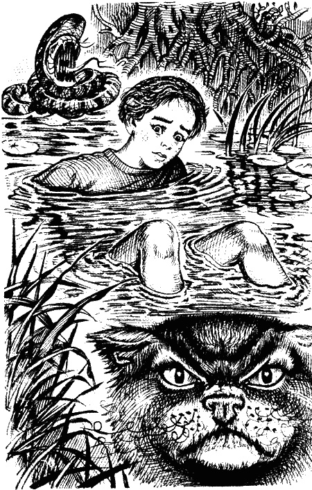 Иллюстрация к книге — Хозяин гнилого болота [sc04.jpg]