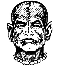 Иллюстрация к книге — Чудище поганое [sc08.jpg]