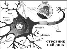 Иллюстрация к книге — Бот [_05.jpg]