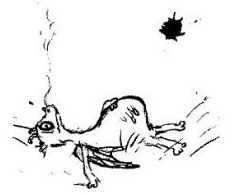 Иллюстрация к книге — Как приручить викинга [i_008.jpg]