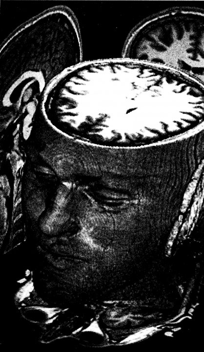 Иллюстрация к книге — Мир ведьмаков [i_003.jpg]