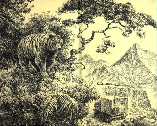 Иллюстрация к книге — Гарнизон [i_001.jpg]