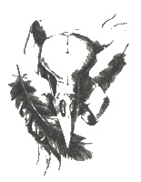 Иллюстрация к книге — Голем. Книга 2. Пленник реторты [_014.jpg]