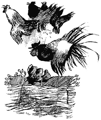 Иллюстрация к книге — Книга трех [i_04.jpg]